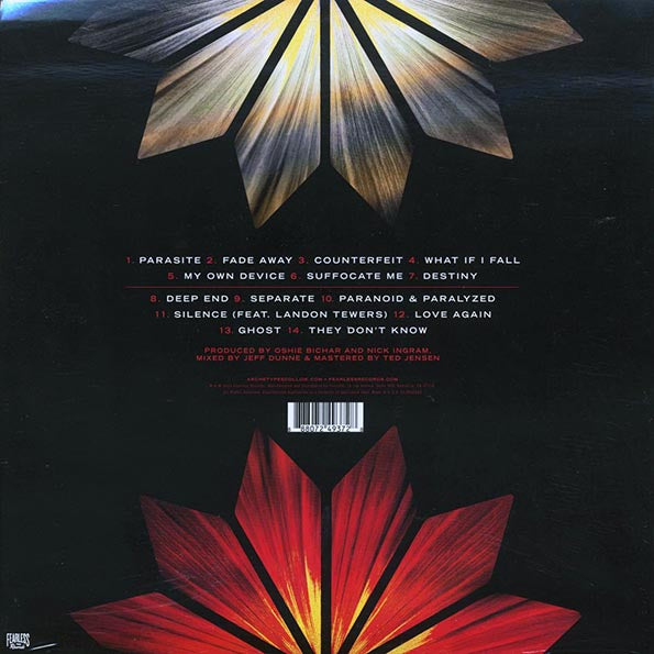 Archetypes Collide - Archetypes Collide (ltd. 500 copies made) (LP) - PureSound Records