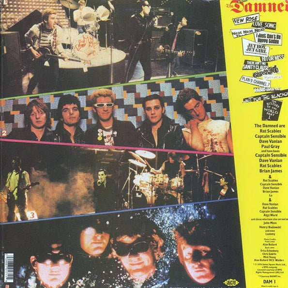 The Damned - Another Great Record From The Damned: The Best Of The Damned (LP)