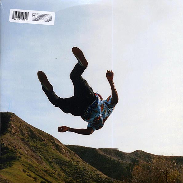 Tyler The Creator - Wolf (2xLP) (LP)