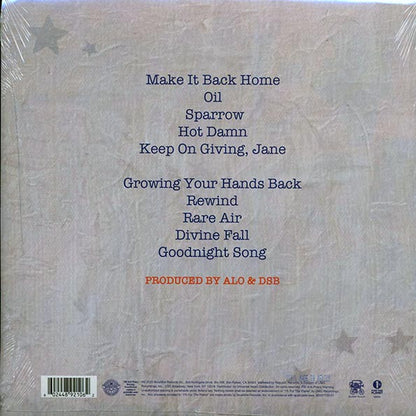 ALO (Animal Liberation Orchestra) - Silver Saturdays (LP) - PureSound Records