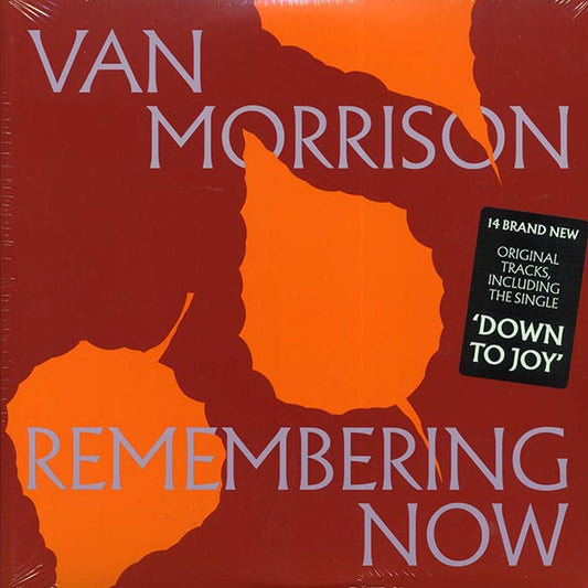 Van Morrison - Remembering Now (LP)