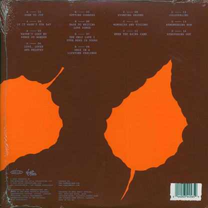 Van Morrison - Remembering Now (LP)