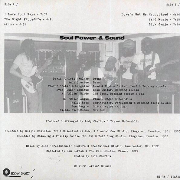 Soul Power & Sound, Al Breadwinner - Soul Power & Sound Meets Al Breadwinner In Dub Procedure (LP)