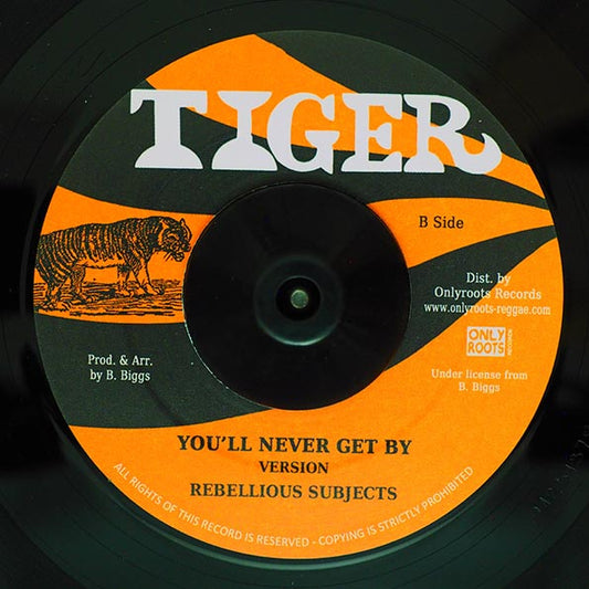 Barrington Biggs - You'll Never Get By  /  Rebellious Subjects - You'll Never Get By (7")