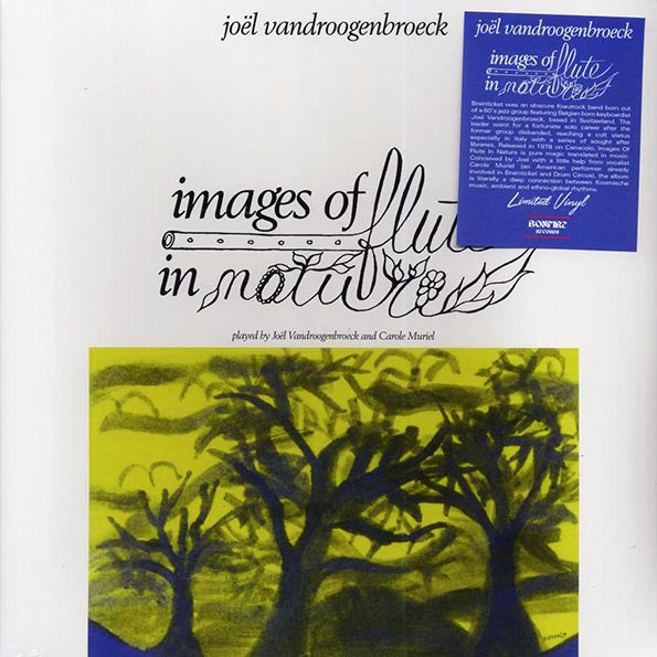 Joel Vandroogenbroeck - Images Of Flute In Nature (LP) - PureSound Records