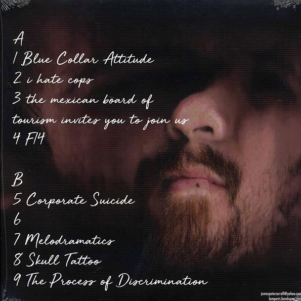 Lamposts - Adolt Cartoon (LP) - PureSound Records