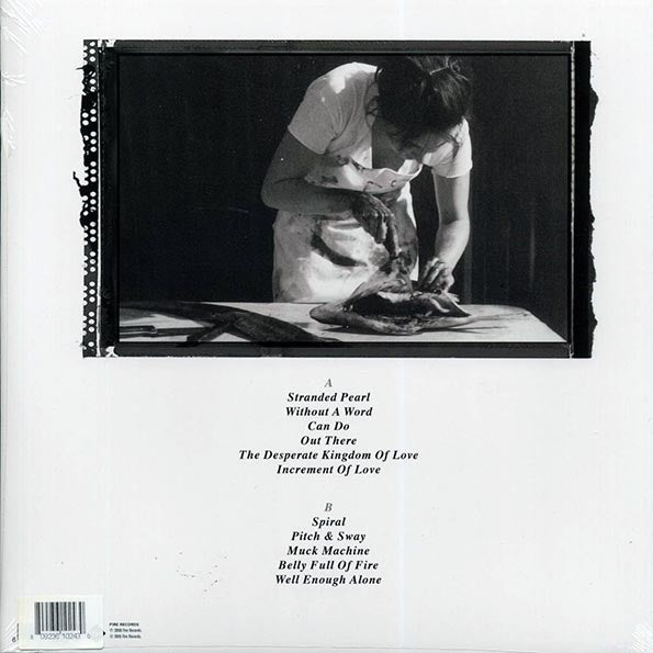 Giant Sand - Provisions (RSD 2018) (ltd. ed.) (LP) - PureSound Records
