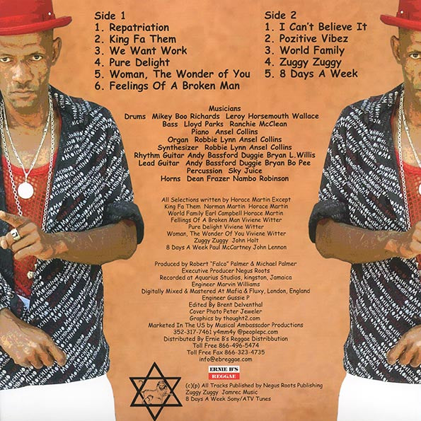 Horace Martin - Pozitive Vibez (LP)