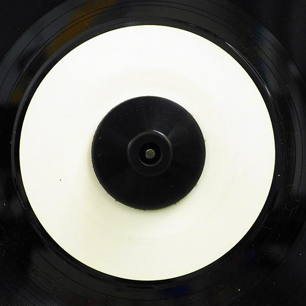 Michael Rose - What Can You Do  /  Disciples Riddim Section - Dub (7")