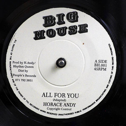 Horace Andy - All For You  /  Version (rhythm: "Horace Andy - Fever") (7")