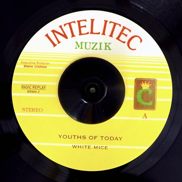 White Mice - Youths Of Today  /  Version (7")