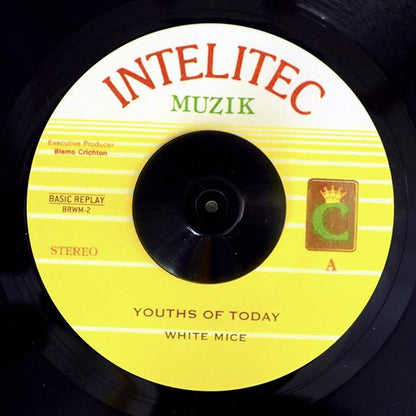 White Mice - Youths Of Today  /  Version (7")