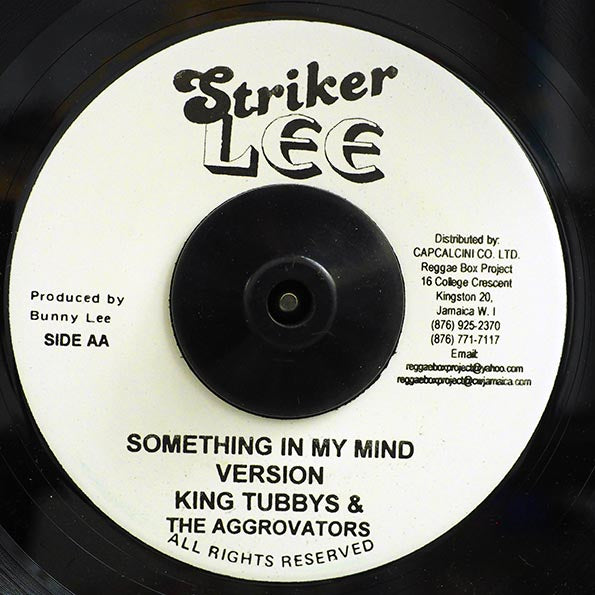 Horace Andy - Something On My Mind  /  The Aggrovators - Version (7")