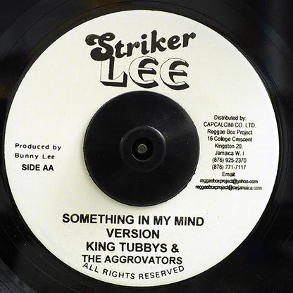 Horace Andy - Something On My Mind  /  The Aggrovators - Version (7")