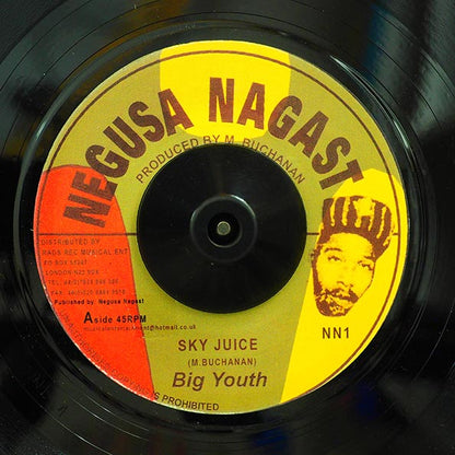 Big Youth - Sky Juice  /  Big Youth - Not Long Ago (7")