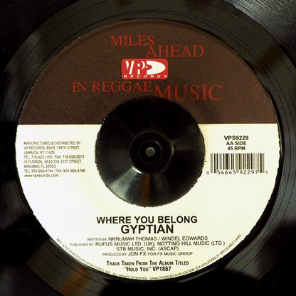 Gyptian - Rendezvous  /  Gyptian - Where You Belong (7")