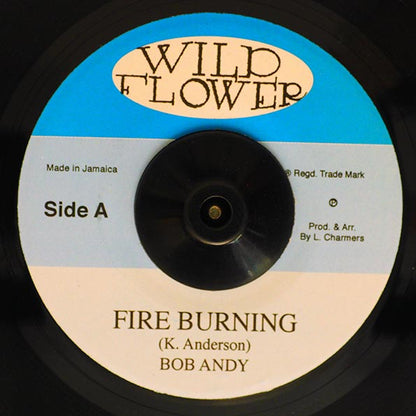 Bob Andy - Fire Burning  /  Dadawah - Burning Drums (7")