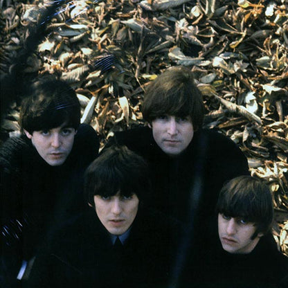 The Beatles - Beatles For Sale (stereo) (LP)